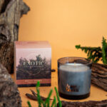 Vela - Exotic Destinations - Imagen 6