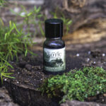 Aceite - Exotic Destination - Imagen 6