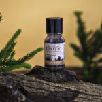 Aceite - Exotic Destination - Imagen 5