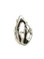 Anillo Fuego - Imagen 4