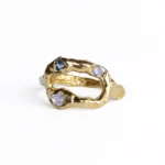 Anillo Asilo