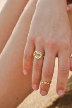 Anillo Asilo - Imagen 3