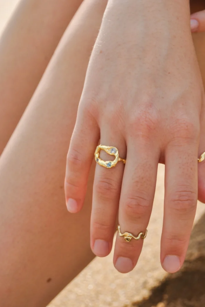 Anillo Asilo - Imagen 3