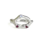 Anillo Asilo - Imagen 5