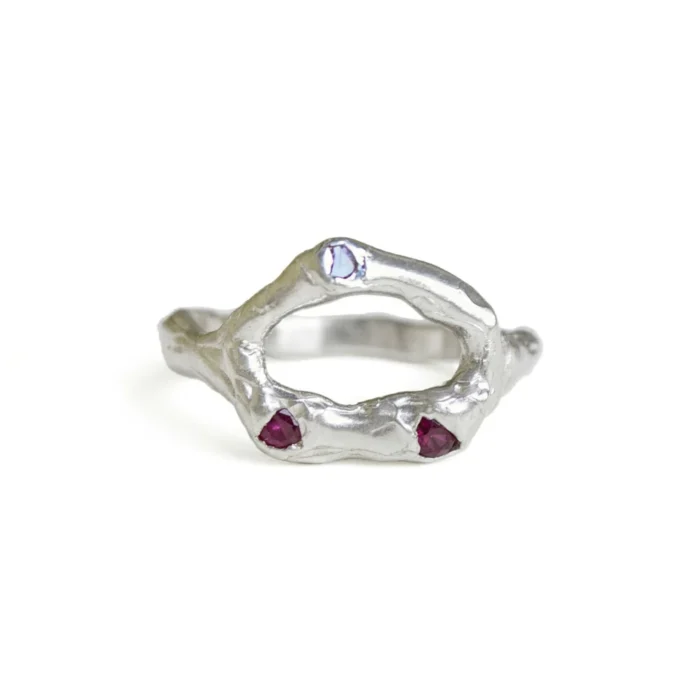 Anillo Asilo - Imagen 5
