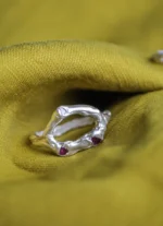 Anillo Asilo - Imagen 4