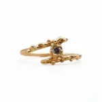 Anillo Goutte
