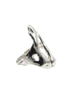 Anillo Fuego - Imagen 2