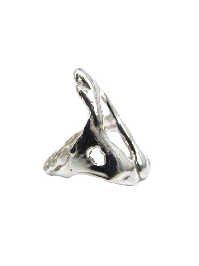 Anillo Fuego - Imagen 2