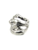 Anillo Ramas