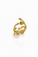 Anillo Enraizar - Imagen 2