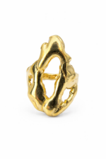 Anillo Fuego