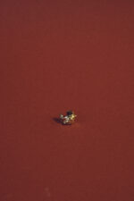 Earcuff Kira - Imagen 2