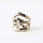 Anillo Ramas - Imagen 5