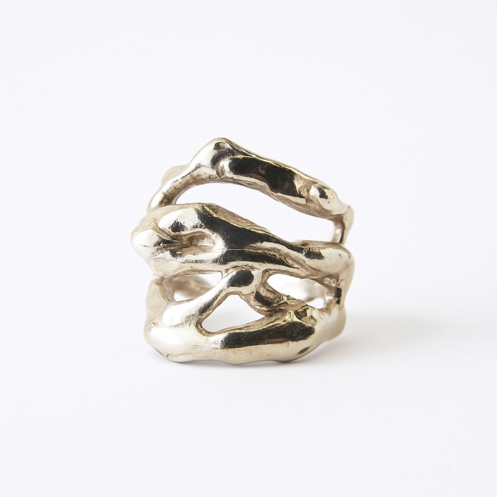 Anillo Ramas - Imagen 5