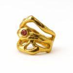Anillo Ramas - Imagen 6