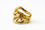 Anillo Ramas - Imagen 7