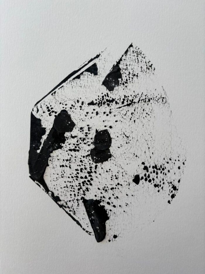 Lámina 24x35 - Imagen 5