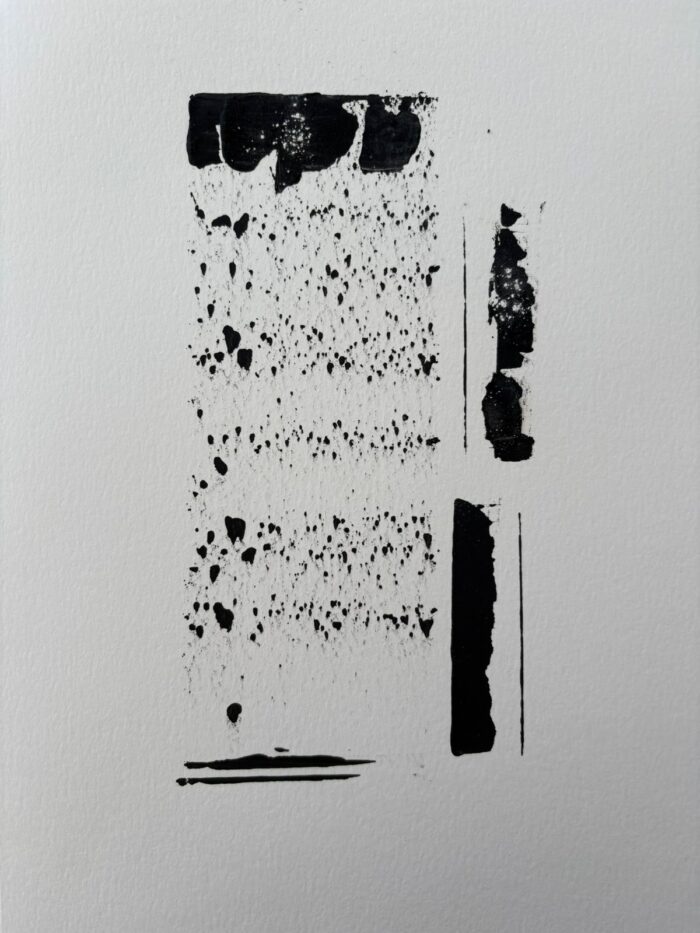 Lámina 24x35 - Imagen 4