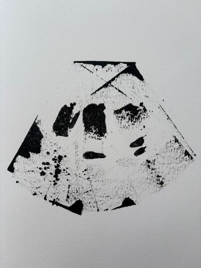 Lámina 24x35 - Imagen 9